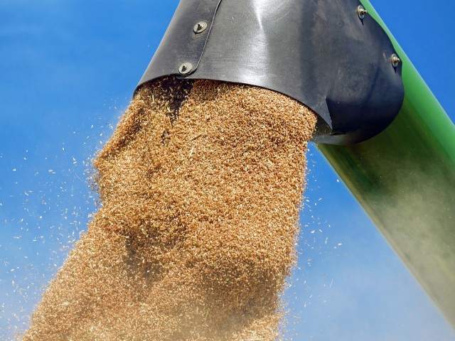 Запасы зерна к новому сезону могут оказаться выше ожиданий